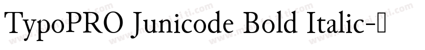 TypoPRO Junicode Bold Italic字体转换